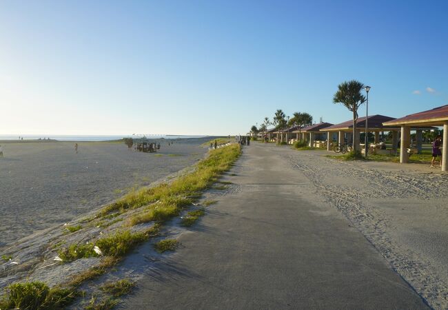 豊崎海浜公園バスケットボール総合情報サイト すぽろぐ