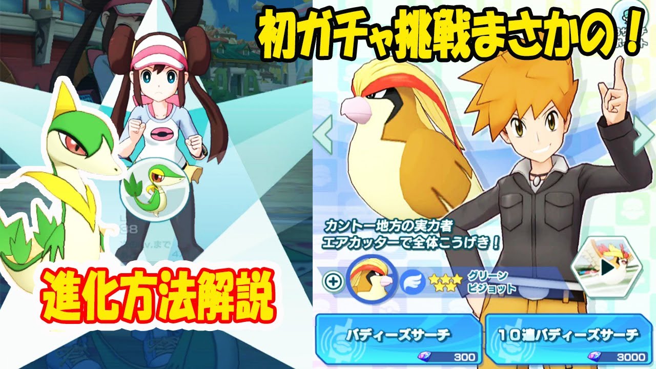 ポケモン ツタージャ コロっとまんまる