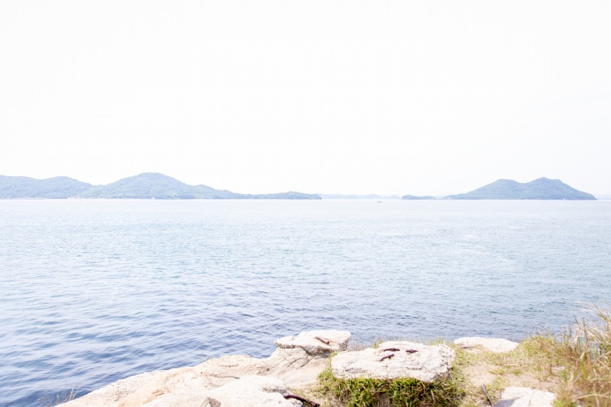 屋島の先っぽ 長崎の鼻 - 三本松 メガネのカワイ