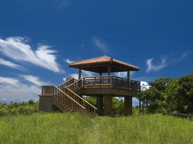 フォロワーさんにオススメされたバンナ公園の展望台🫶💖 きれかった～🌺🌺 ・ ・