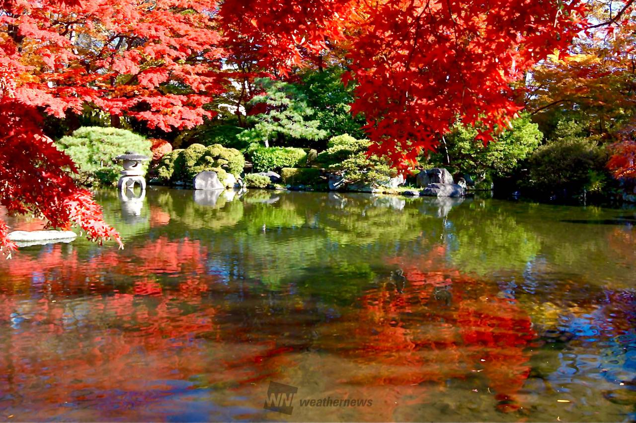 もみじ公園付近の駐車場駐車場予約なら「タイムズのB」