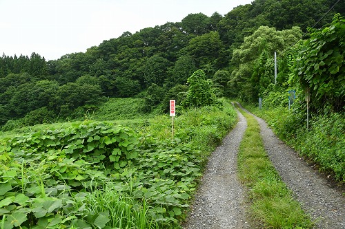 大志集落と只見線の美しい景色