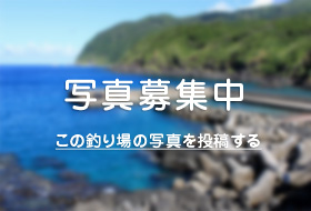 岬丸釣果情報フィッシングマックス 関西の釣果大阪・神戸・和歌山の釣果情報