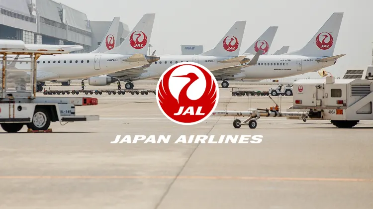 2025年6月最新次の日本航空 JAL のセールはいつ開催？お得な航空券の取り方を徹底解説