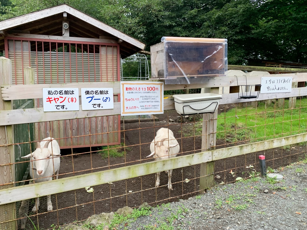2020.10②アーバンキャンピング 朝霧宝山りゅっくDiary☆