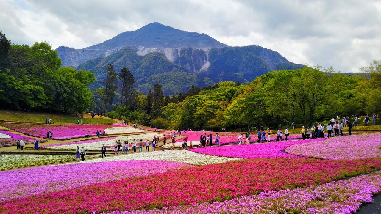 冬に訪れたい秩父の観光スポット7選 氷柱ライトアップに温泉も!トラベルjp 旅行ガイド