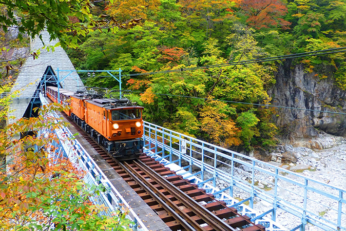 秋の黒部峡谷へ！トロッコ電車に乗って紅葉めぐり*and trip. たびびと