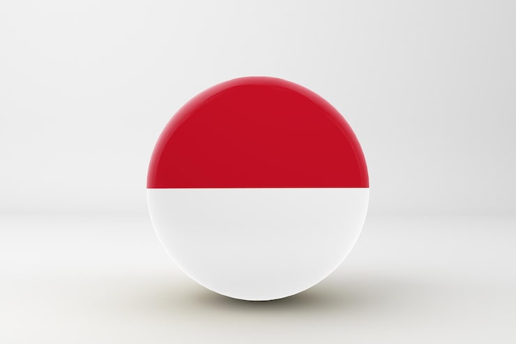 モナコの国旗 - 意味、色、歴史