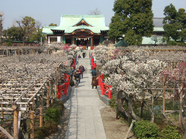 神社人 - 亀戸天神社