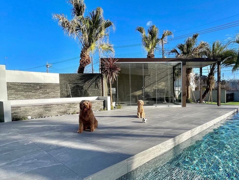 アメリカの家のプールの写真素材・画像素材 Image 47136372