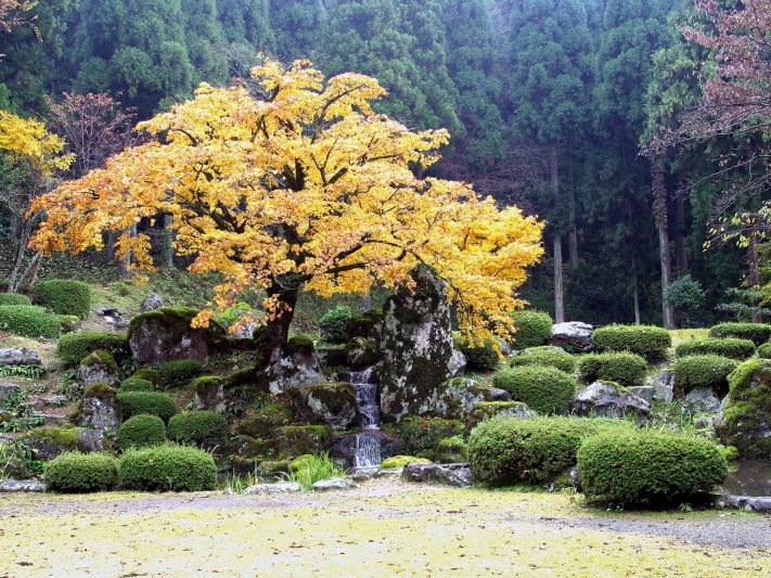 特別史跡 一乗谷朝倉氏遺跡 特設サイト