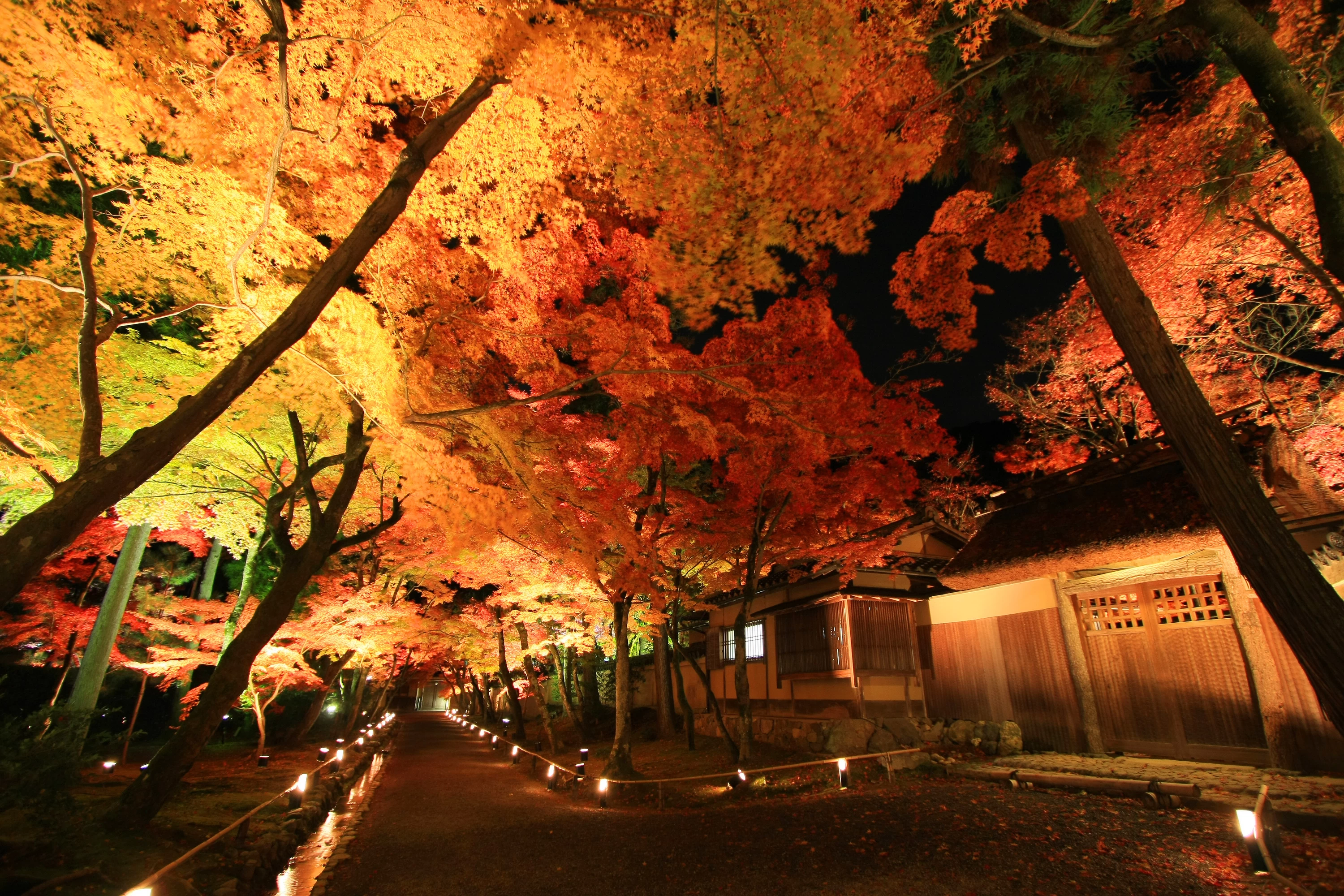 京都の夜景スポット! 無料の穴場や深夜ドライブにおすすめな場所を紹介マイナビニュース