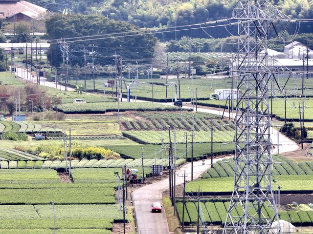 桜山展望台より教務主任のつぶやき