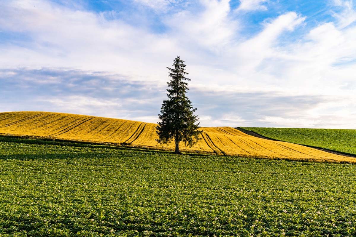 昭和の香り、令和の走り」最新型ケンメリ3.0Lチューンの真実Motor-Fan モーターファン自動車関連記事を中心に配信するメディアプラットフォーム