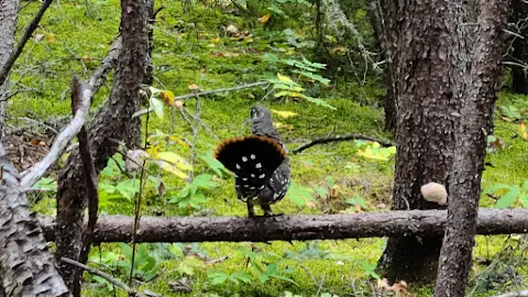 5♡10 下北&渋谷♡^ ̳.