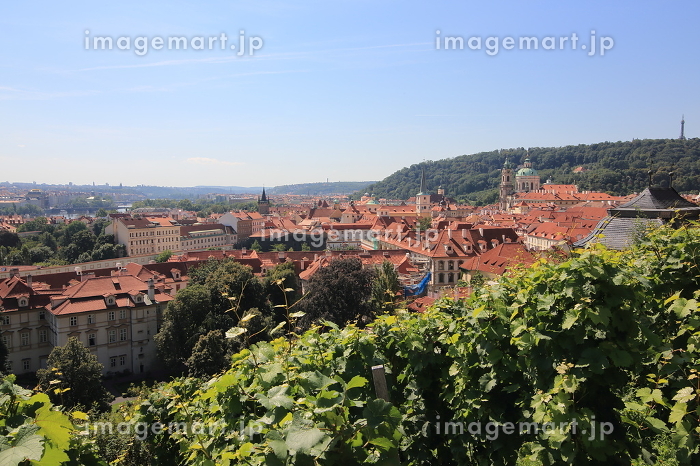 旅行記② すべてが絵になる世界遺産の街！チェスキークルムロフを撮り歩くゆるカメライフ