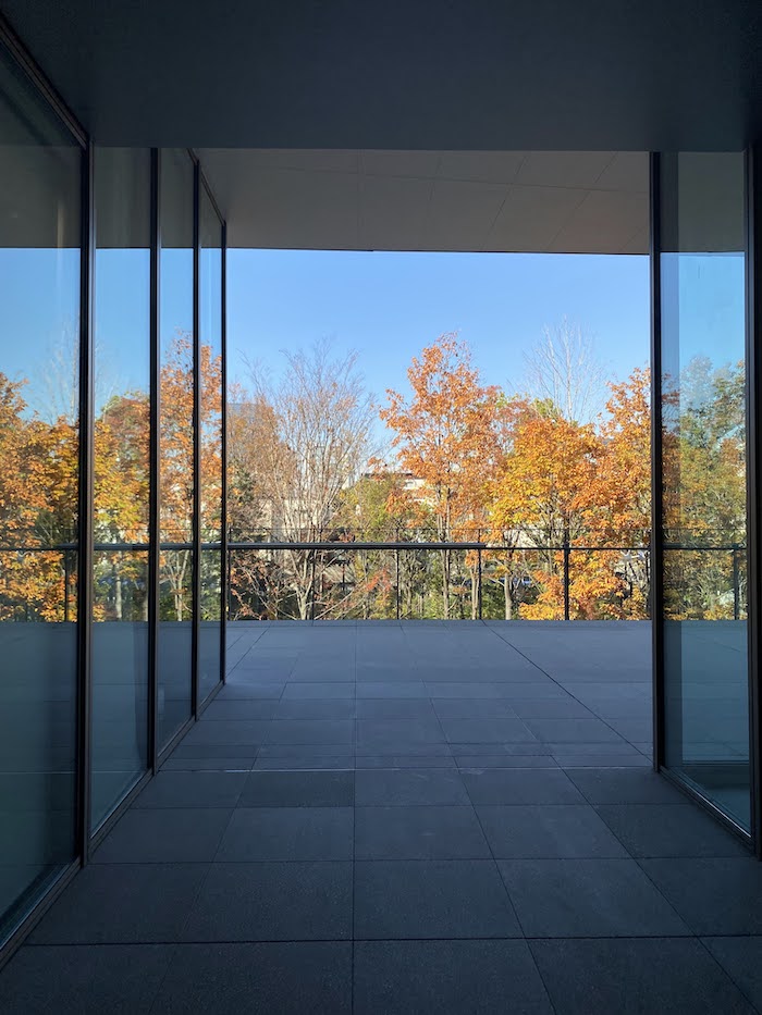 最寄り駅はココ 黄葉の明治神宮外苑いちょう並木を見に行こう!ふわらふ