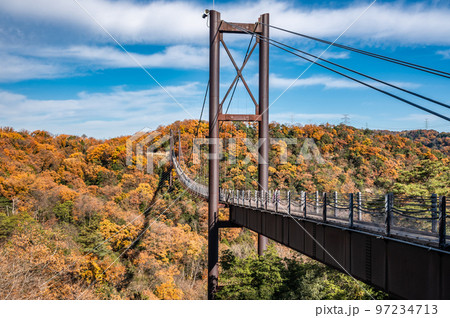 関西 11月見頃の「絶景紅葉スポット」おすすめ35選。名所や穴場も＜2019＞ 2-