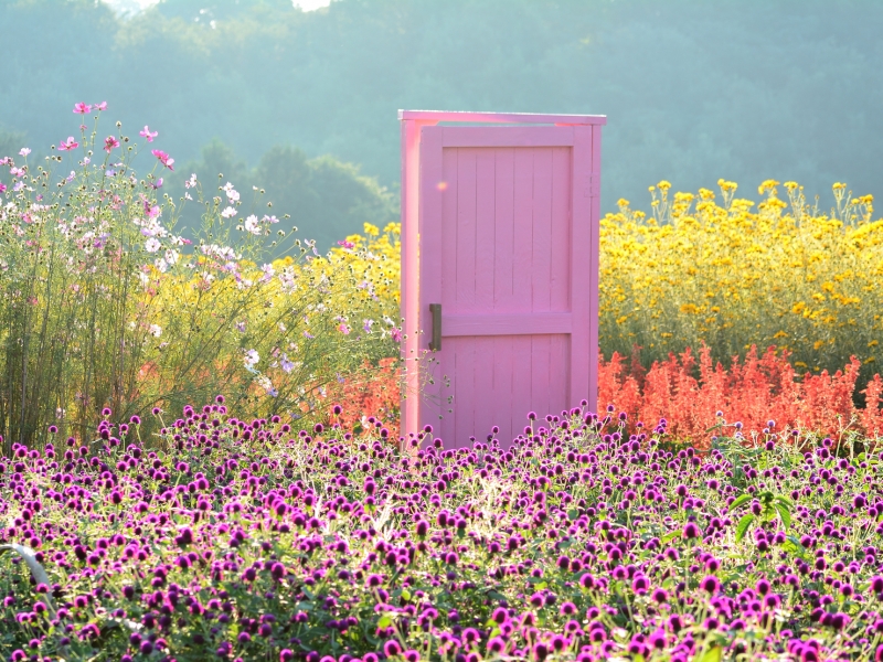 関東在住者必見！ ひとり旅OK！日帰りでも行ける穴場スポット15選