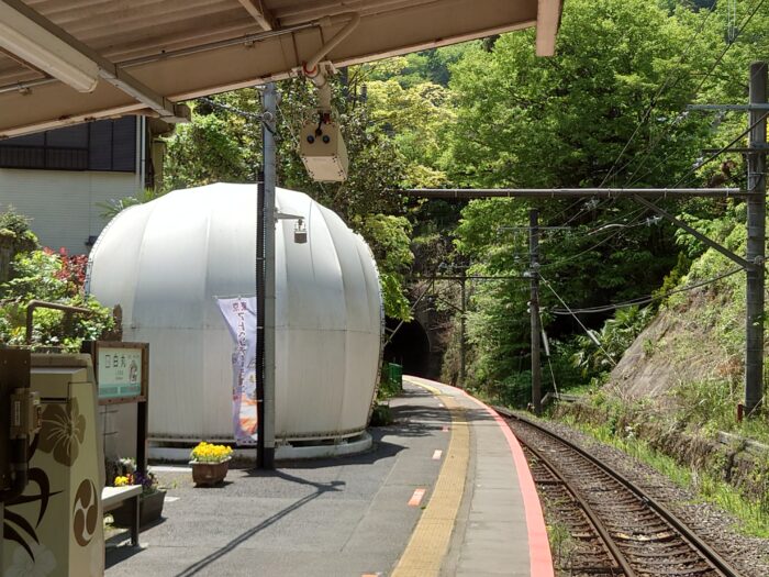 見学無料でおすすめ - 白丸ダム魚道のクチコミ