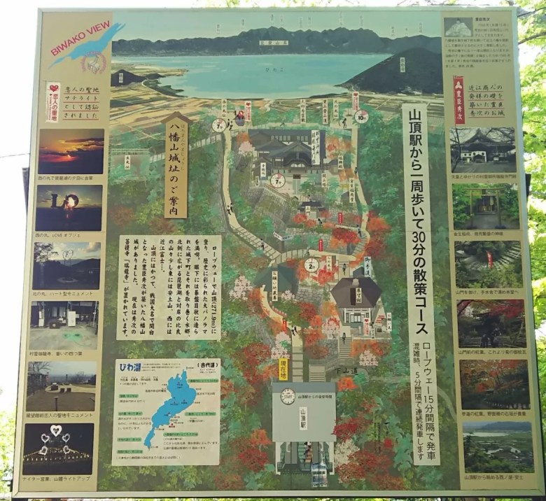 八幡山城 - Wikipedia