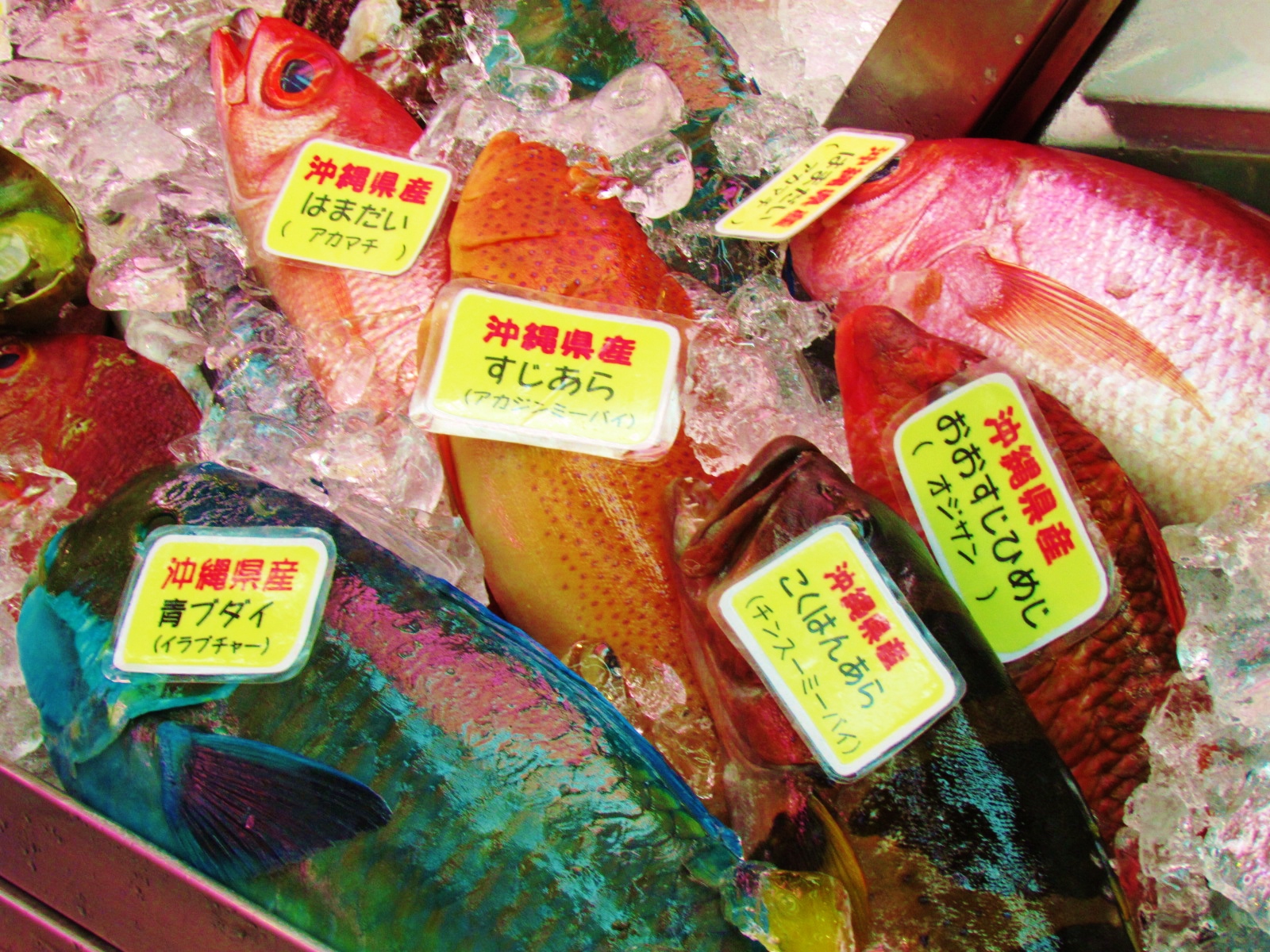 シマノンチャンネルFishing 沖縄 :