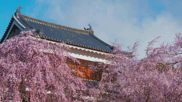 上田城観光の写真素材写真素材なら「写真AC」無料 フリー ダウンロードOK