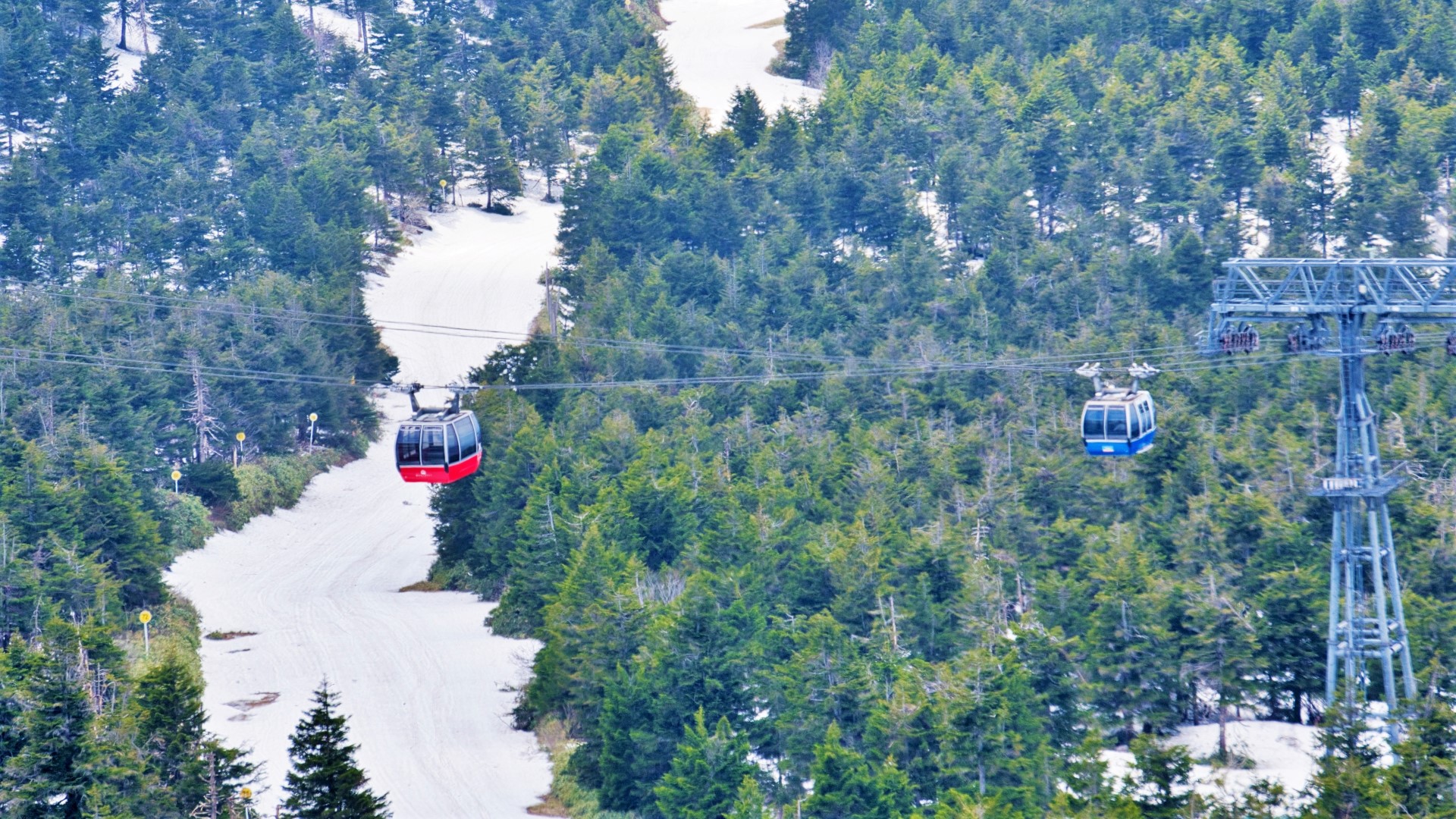 蔵王ロープウェイで秋の紅葉や冬の樹氷を観賞！おすすめシーズンと楽しみ方、料金やアクセスを紹介ウォーカープラス