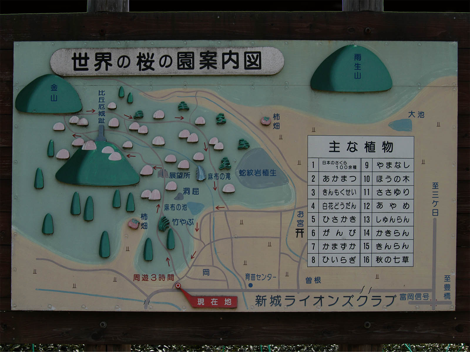 桜淵公園」 新城市-桜の名所-〒441-1328 の地図 アクセス 地点情報