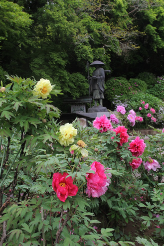 東光山 観福寺心の癒し～神社・仏閣・御陵巡り～