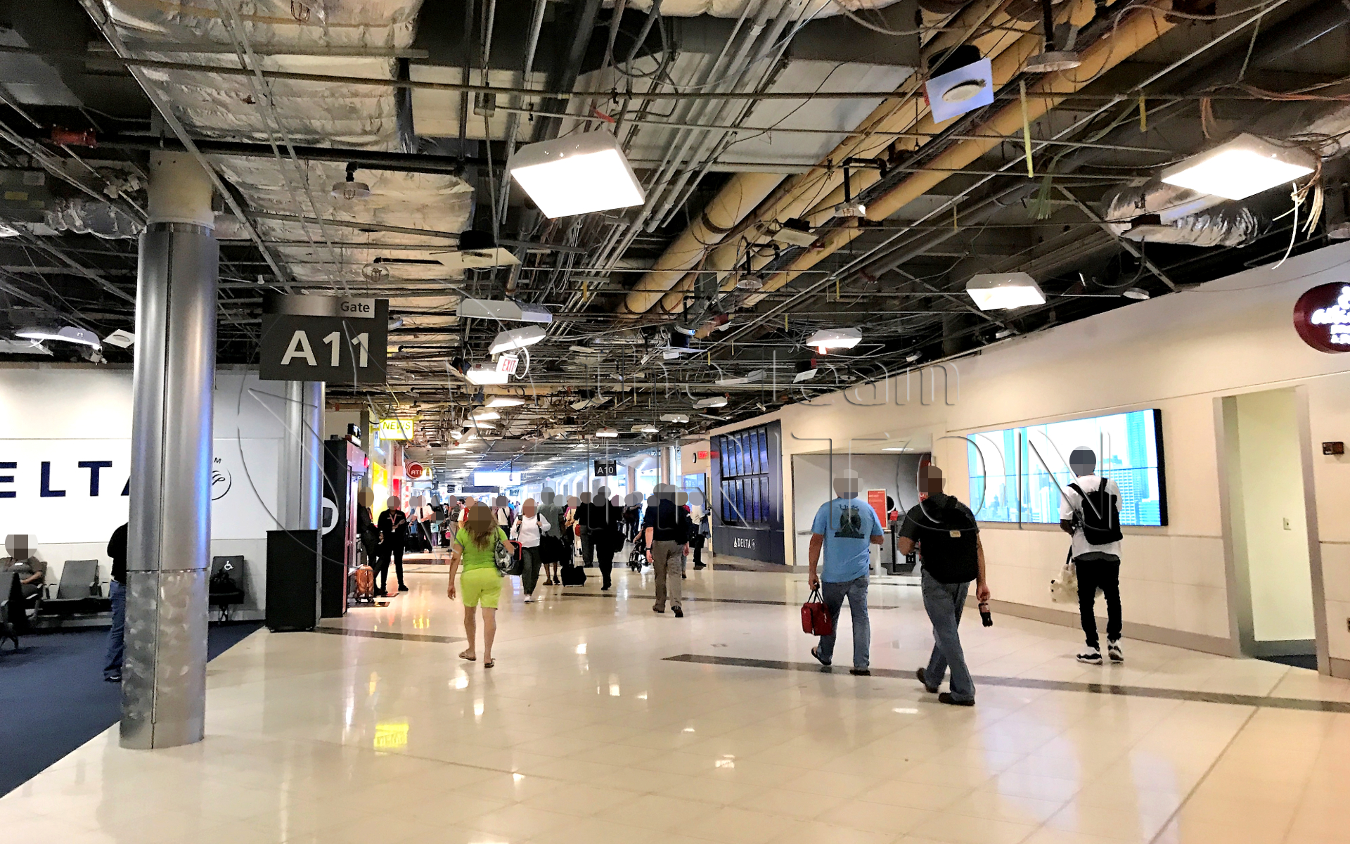 アトランタ空港は世界一忙しい？入国審査、乗り換え方法など。～私と猫が初めて踏んだアメリカの地～猫、アメリカへ行く