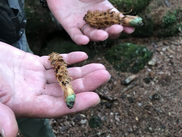 西湖ネイチャーセンター旅サラダPLUS 観光・お出かけSPOT