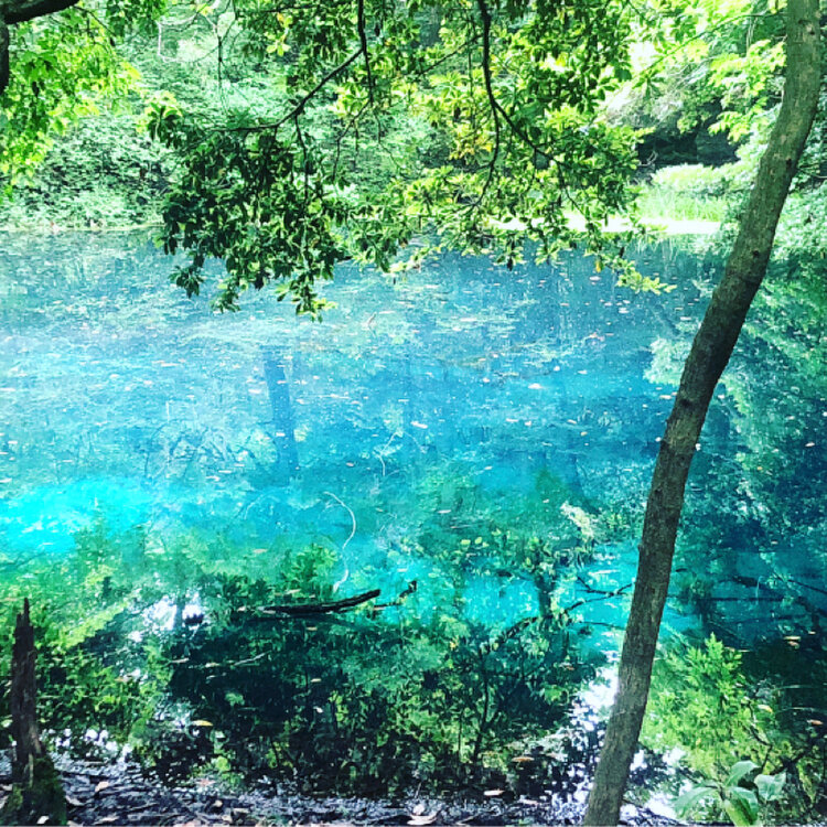 神秘の泉 丸池様観光スポットやまがた庄内観光サイト -