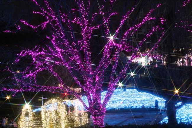 西武園ゆうえんち「イルミ―ジュ」開催のご案内所沢なび