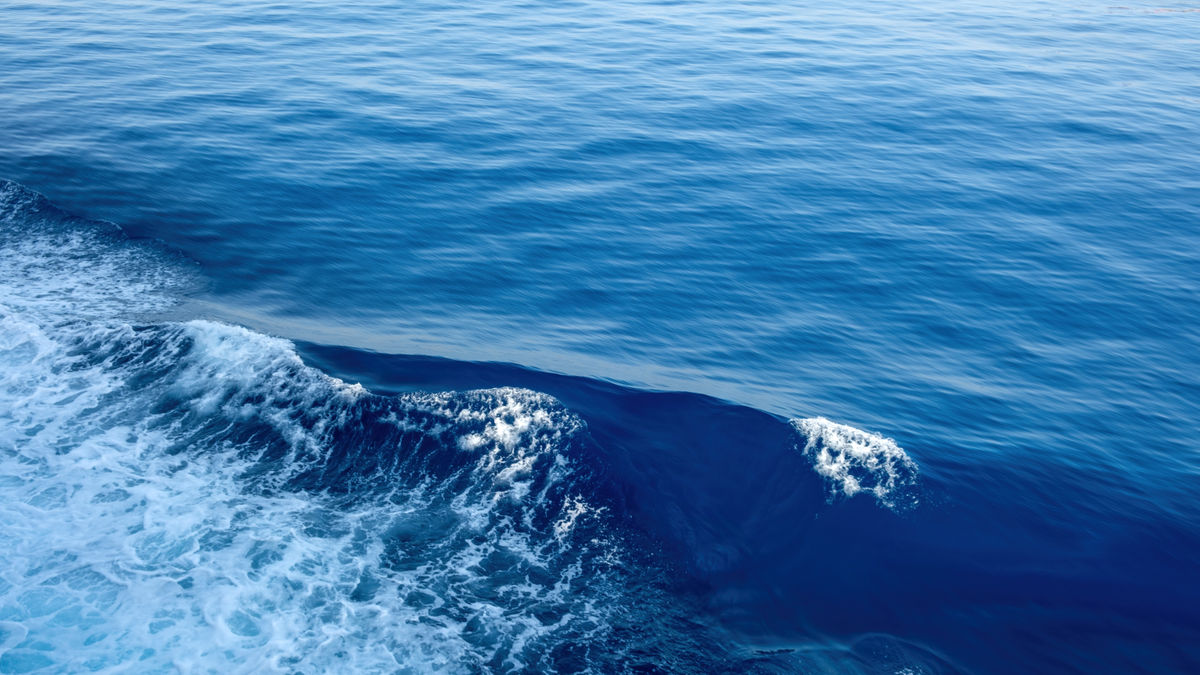 ホラー 泣けるSCP「マリアナ海溝から回収された文書」 SCP アニメーションズ From