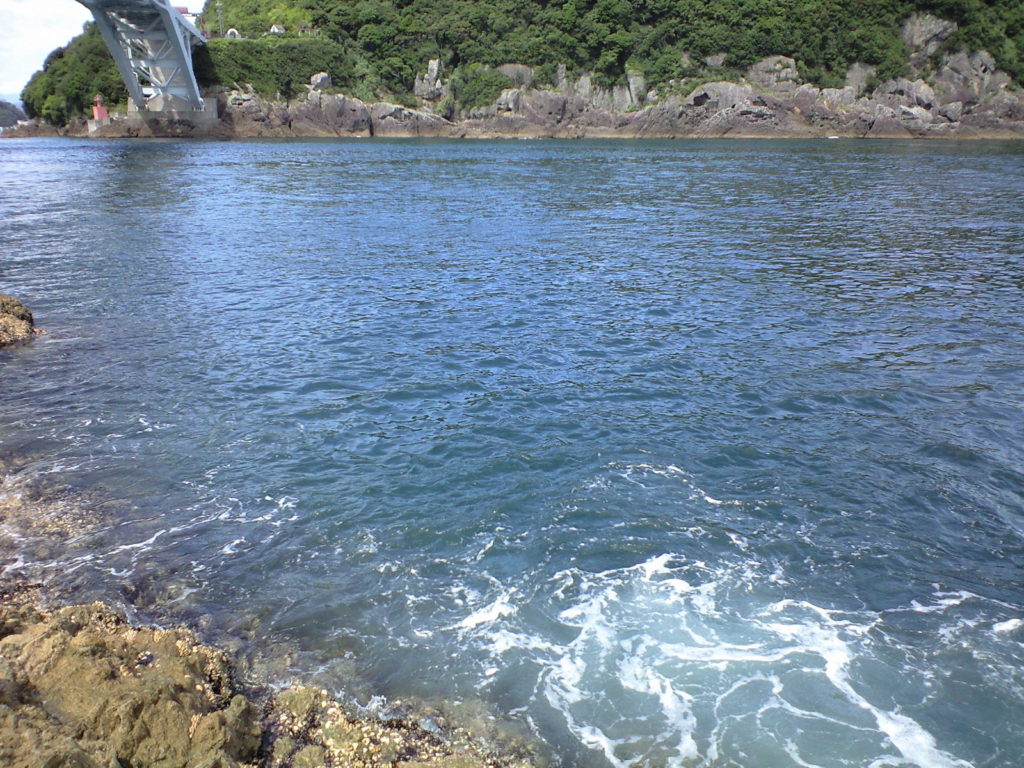 和歌山 紀南 串本 苗我島 くしもと大橋の下nature2016