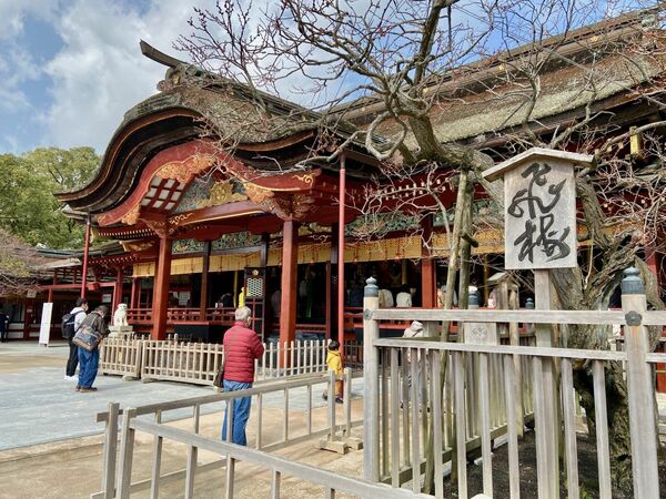 thought EXHIBITION AND MARKET