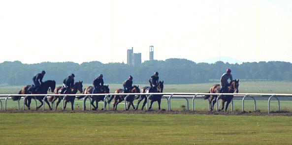 8月の札幌は冷たかった 競馬場の風にも個性あり - 日本経済新聞