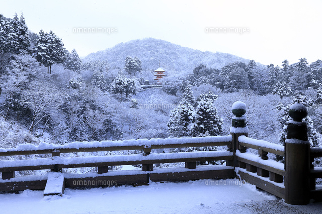 歴史と自然が織りなす日本情緒を感じよう！清水寺の観光ガイドGOOD LUCK TRIP