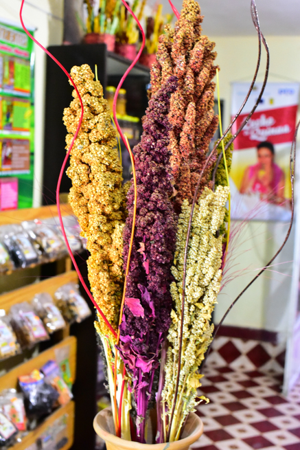 ボリビア旅行 キヌアから不思議なお酒まで！ラパスのローカルスーパーに行ってみたのんびりまったりパナマ生活