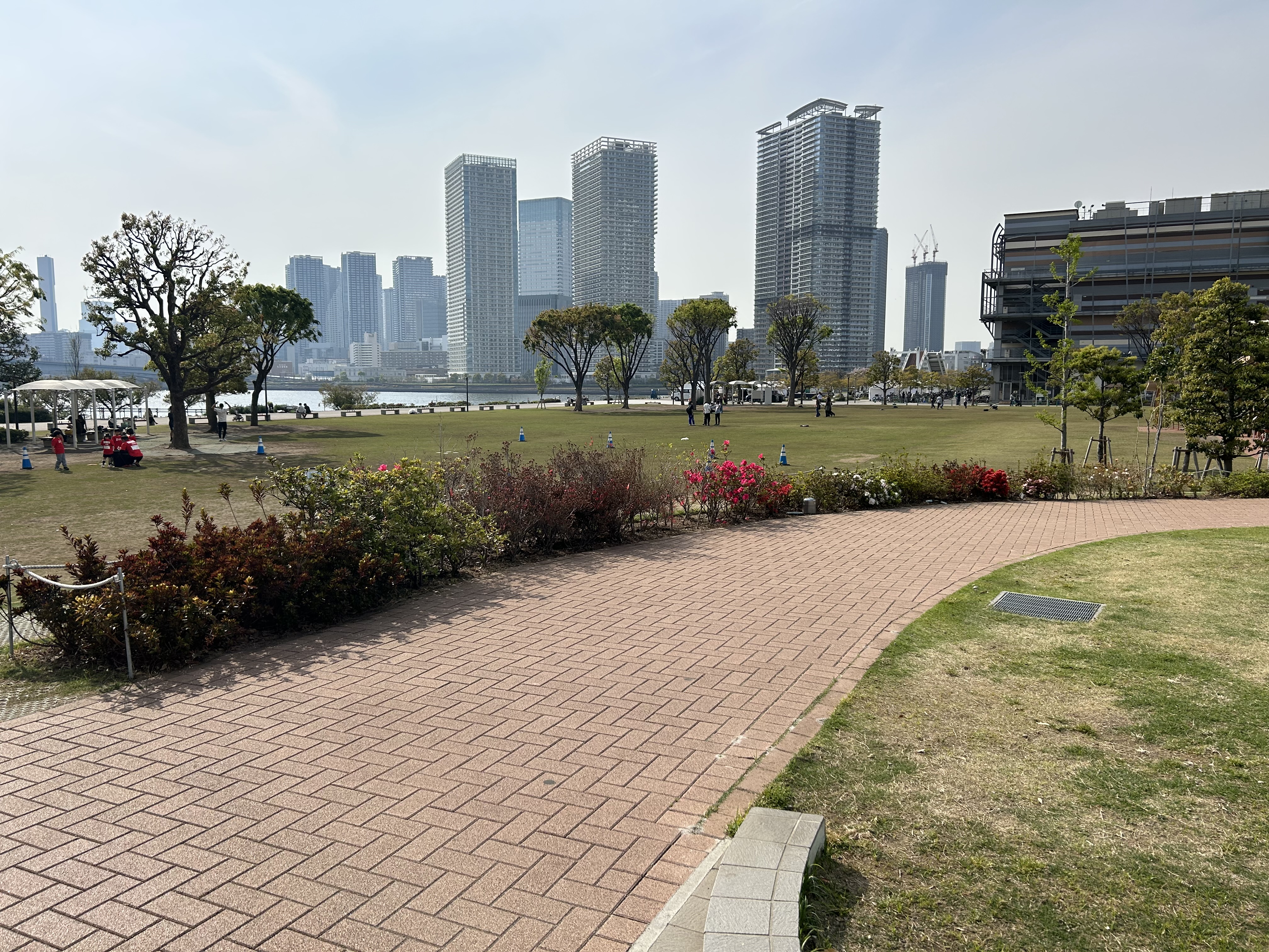 豊洲ぐるり公園で見る美しい夕焼けスポット
