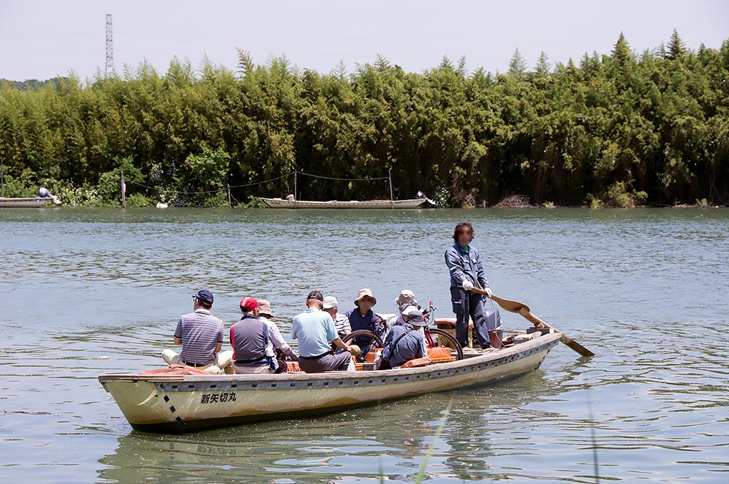 矢切の渡し - 見どころ、アクセス