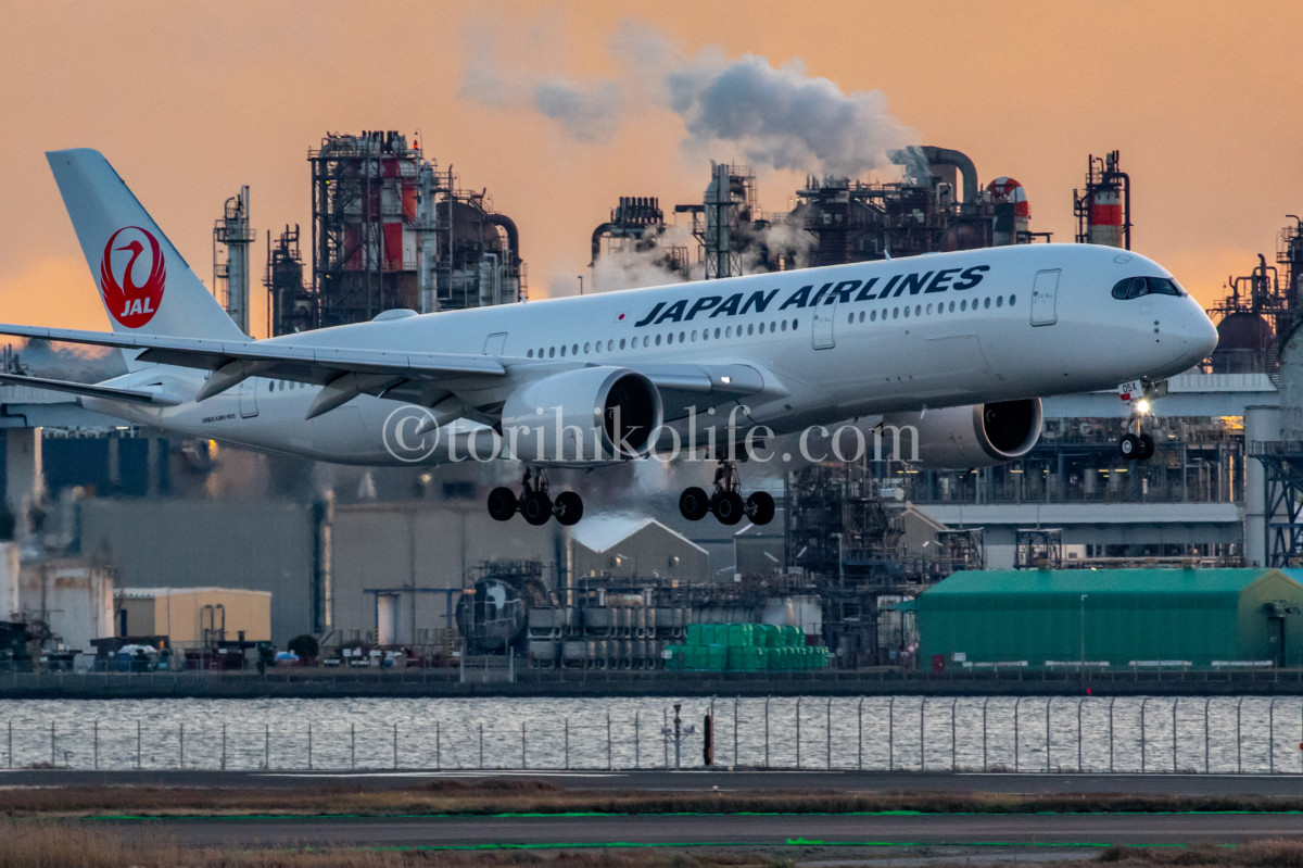 飛行機撮影スポット 羽田空港羽田空港第2ターミナル展望デッキを作例とともに解説