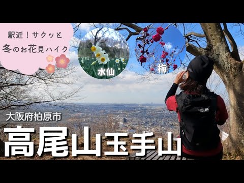 高尾梅郷梅まつり - 裏高尾に点在する梅林を巡り散策。木下沢梅林は必見！イベント高尾山マガジン