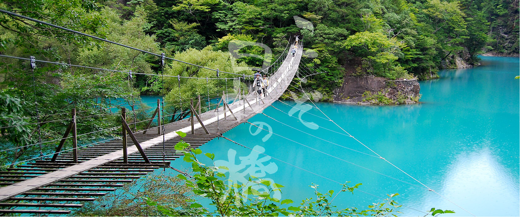 ワンコと一緒に秘境めぐり！寸又峡の『夢の吊り橋』にいってきた 絶景 ～静岡県