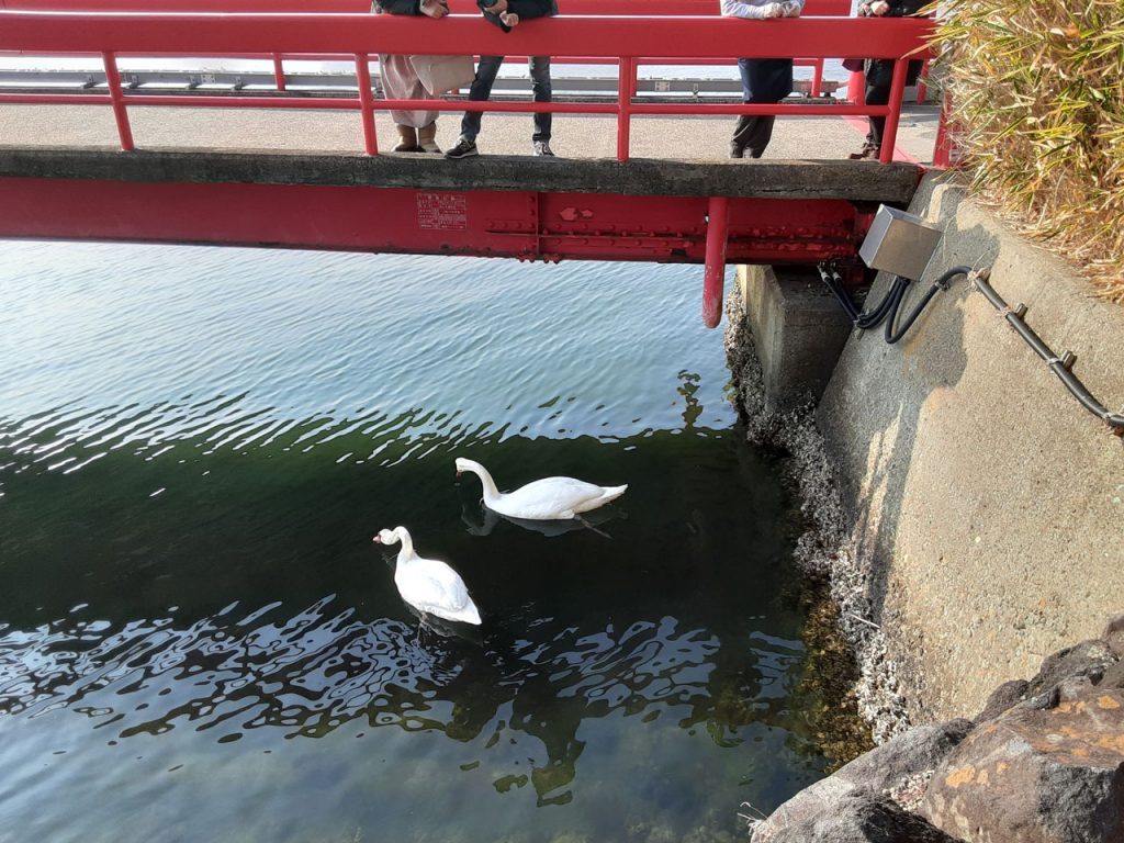 松島の「福浦橋」と「福浦島」ってどんな所？見どころを紹介 - GOGO