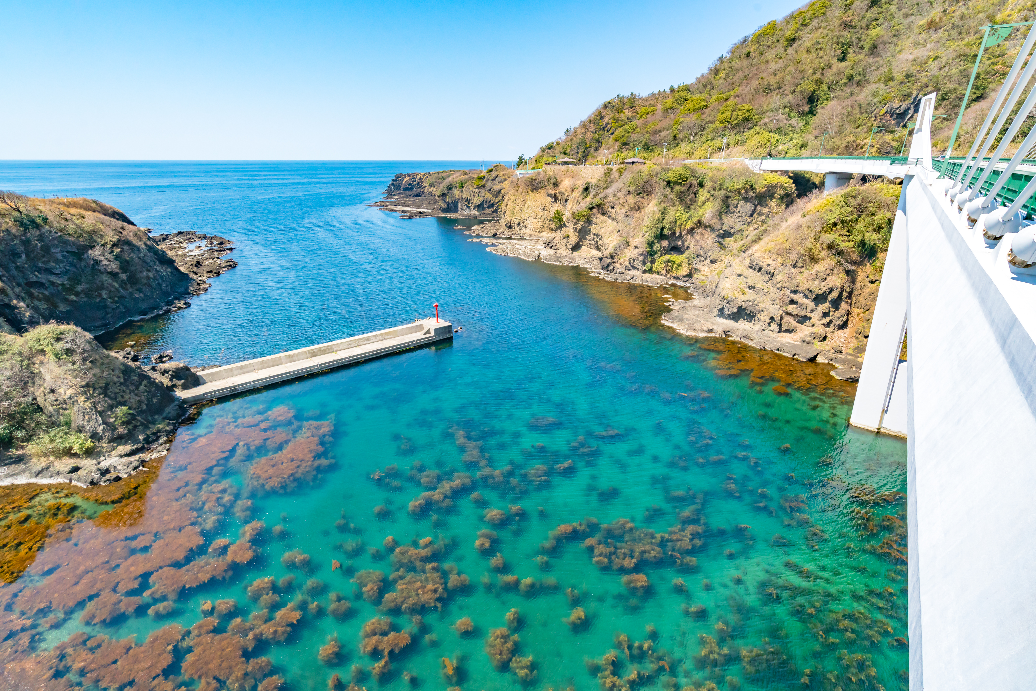 黄金の島・佐渡」の観光スポット “海からの絶景”を楽しむ！佐渡でしか見られない光景も新潟ニュース NST
