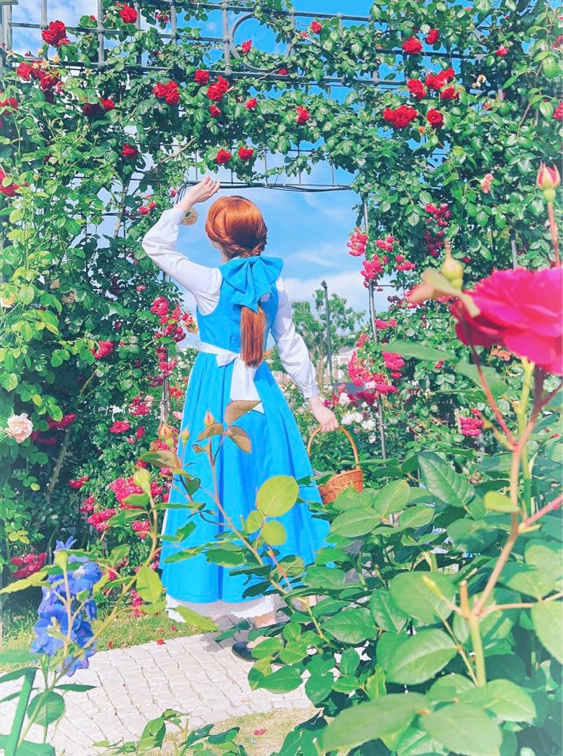 美女と野獣 - ディズニー