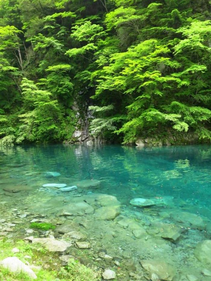 水遊びができる神奈川県の公園32選 公園専門メディアPARKFUL