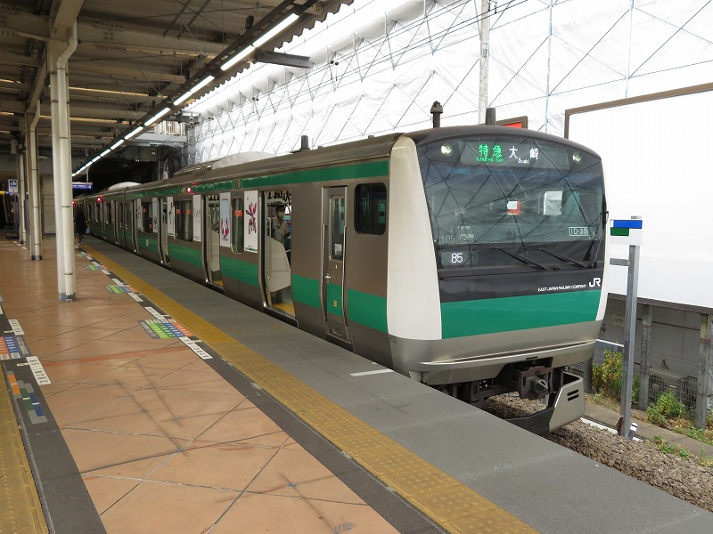 鉄道写真集・ＪＲ東日本 特急型車両